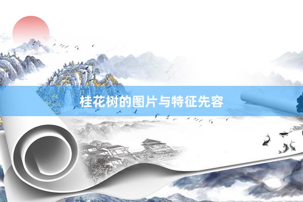 桂花树的图片与特征先容