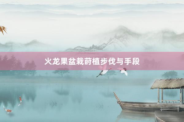 火龙果盆栽莳植步伐与手段