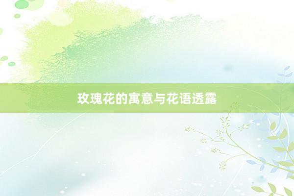 玫瑰花的寓意与花语透露