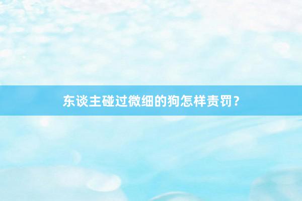 东谈主碰过微细的狗怎样责罚？
