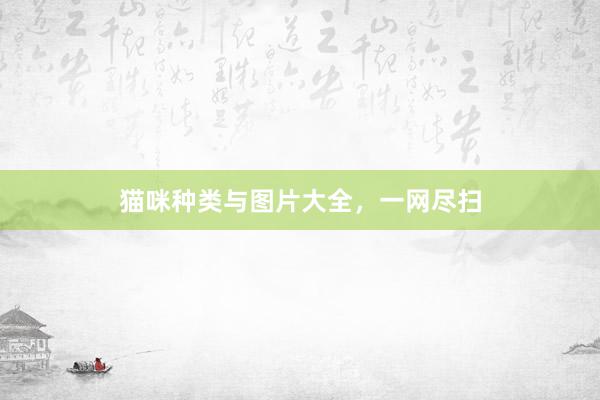 猫咪种类与图片大全，一网尽扫